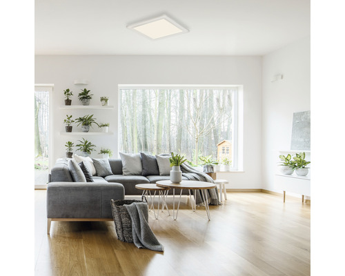 Salon avec canapé gris, plantes et plafonnier carré