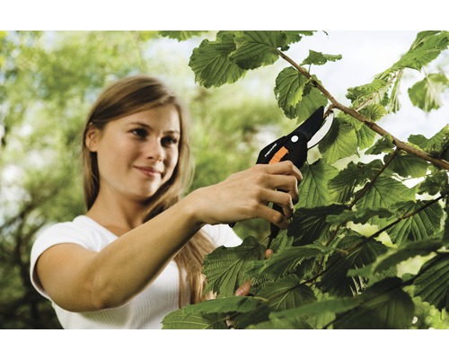 Une femme coupe une branche avec un sécateur