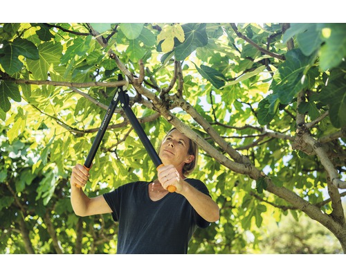 Une femme coupe des branches avec un ébrancheur à crémaillère de Fiskars.