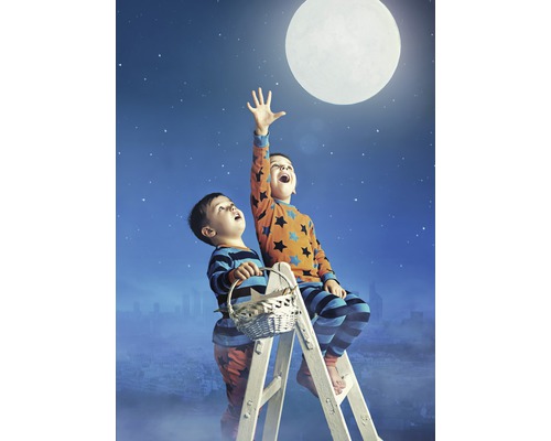Zwei Jungen stehen auf einer Leiter und versuchen, den Mond zu erreichen