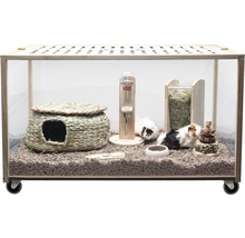 Cage pour petits animaux avec accessoires et cochons d''Inde
