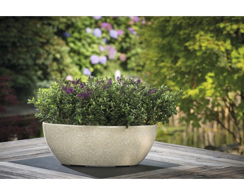 Jardinière avec plantation sur table de jardin