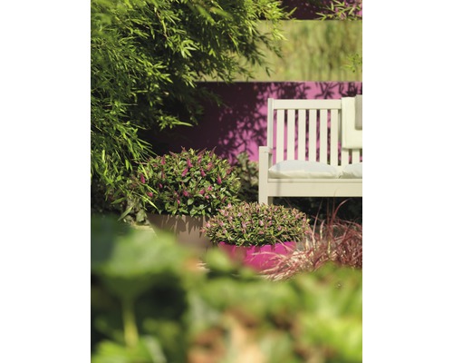 Scène de jardin avec banc, plantes et pots de fleurs décoratifs