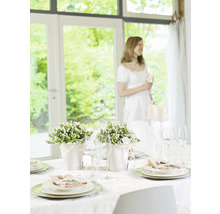 Table dressée de manière festive avec des arrangements floraux et des bougies pour une occasion spéciale.