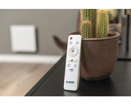 Eurom Heizgeräte Fernbedienung neben Kaktus im Topf