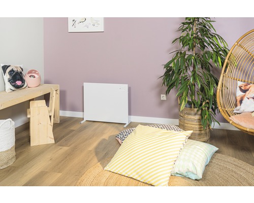 Wohnraum mit weißem Heizkörper, Zimmerpflanze und Sitzgelegenheiten