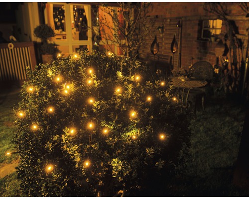Buisson illuminé avec des lumières dans le jardin la nuit.