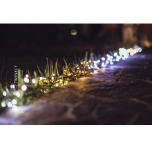 Twinkly Lichterkette im Garten auf Steinweg