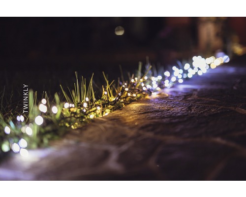 Twinkly Lichterkette im Garten auf Steinweg