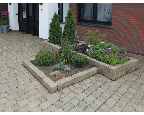 Extérieur avec des pavés et des bacs en pierre plantés