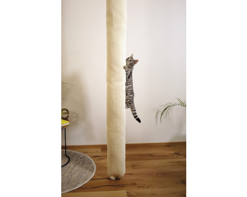 Katze klettert an einem Kratzbaum hoch