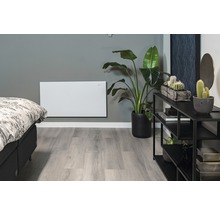 Panneau chauffant infrarouge Eurom Mon soleil 720 67x125 cm 720 watts avec Wi-Fi