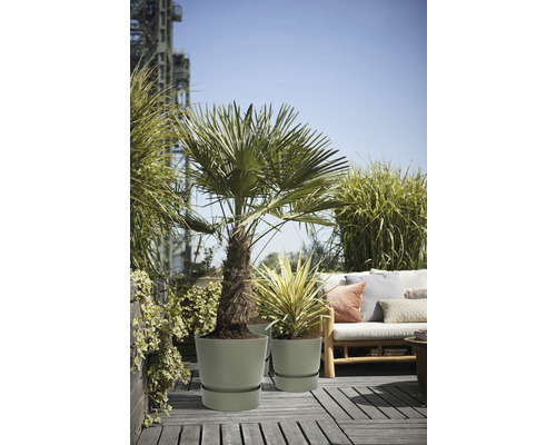 Scène avec des plantes dans des pots sur une terrasse