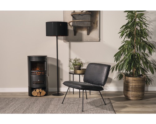 Salon avec cheminée électrique, lampadaire, fauteuil, table d''appoint, plante d''intérieur et tapis