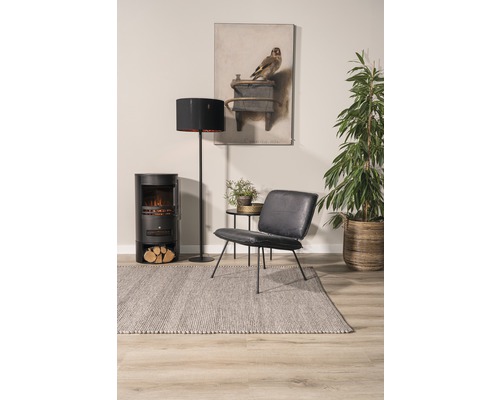 Salon avec poêle à bois, lampadaire, fauteuil, tapis et plante d''intérieur