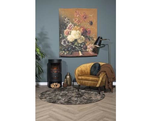 Salon avec poêle, fauteuil, tapis et décoration murale