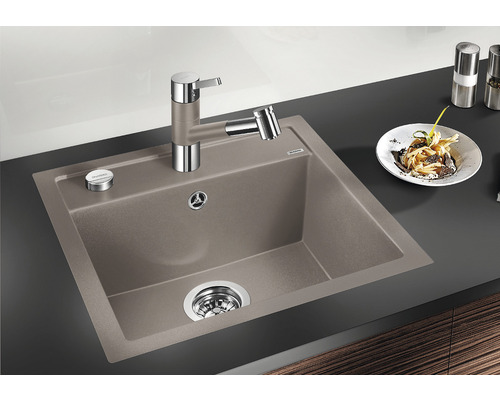 Évier avec robinet et assiette de nourriture sur un comptoir de cuisine