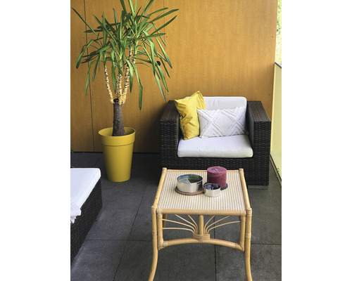 Terrassenszene mit Korbsessel, Kaffeetisch, Zierkissen und Zimmerpflanze im Topf