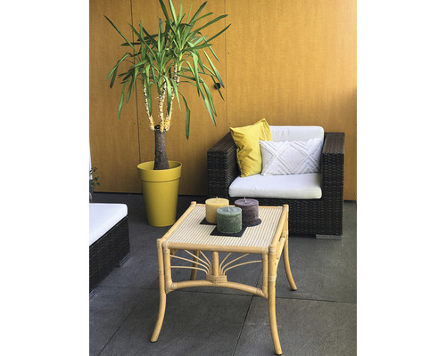 Terrassenszene mit Rattanmöbeln, Pflanze im Topf und Kerzen
