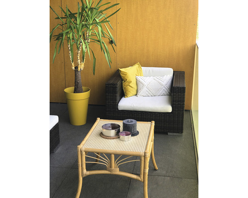 Terrasse mit Rattanmöbeln, Kissen und Zimmerpflanze im Topf