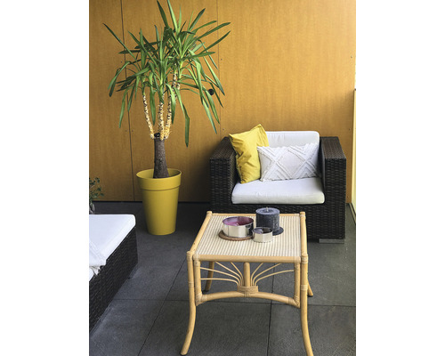 Scène de balcon avec des meubles en rotin, des coussins et une plante en pot.