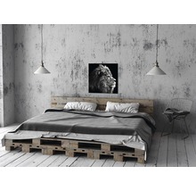 Tableau sur toile Grey Lion Head 27x27 cm