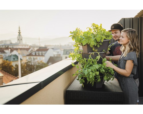 Ein Paar auf einem Dachgarten mit einem vertikalen Pflanzgefäß mit grünen Pflanzen, im Hintergrund eine Stadtansicht.