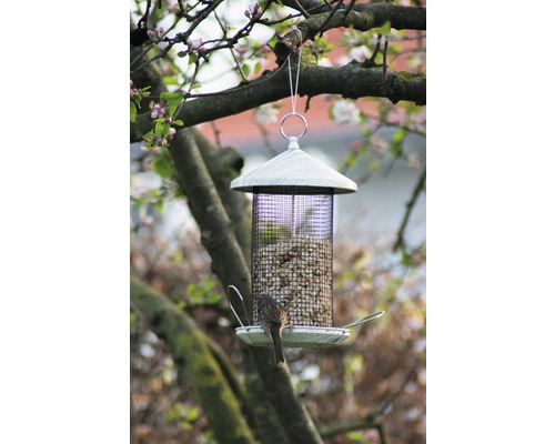 Mangeoire à oiseaux avec nourriture et oiseau dans le jardin
