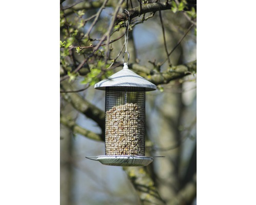 Mangeoire à oiseaux suspendue à un arbre