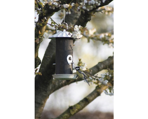 Mangeoire à oiseaux avec oiseau dans l''arbre