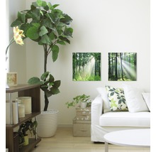 Salon avec tableaux muraux à motifs de forêt, plante et canapé