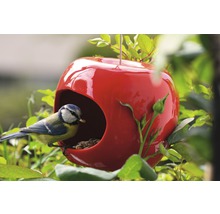 Mangeoire pour oiseaux en forme de pomme avec mésange bleue