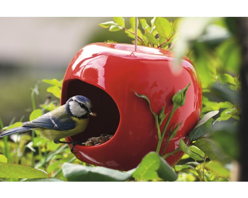 Mangeoire pour oiseaux en forme de pomme avec mésange bleue