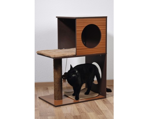 Chat sur un arbre à chat à plusieurs niveaux avec griffoir