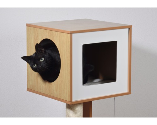 Chat regardant depuis une niche sur un arbre à chat