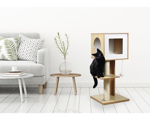 Chat sur un arbre à chat avec une niche et des poteaux en sisal dans un salon lumineux