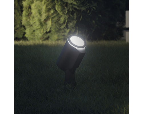 Projecteur de jardin pour montage au sol dans la pelouse