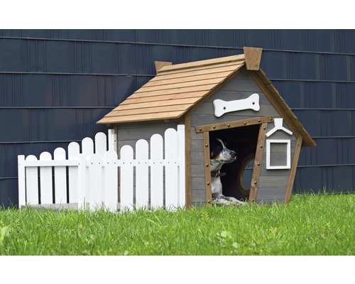 Chien dans une maison en bois avec une clôture dans le jardin