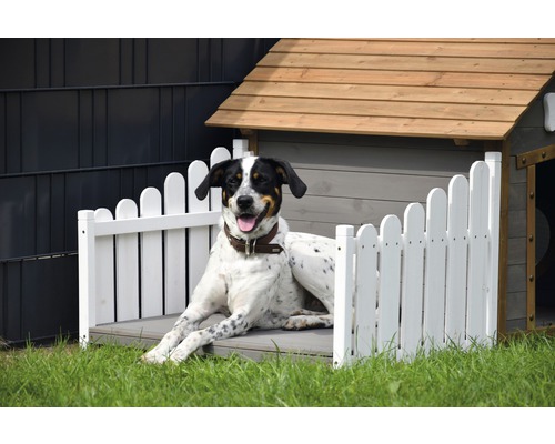 Chien allongé et détendu dans une niche avec clôture