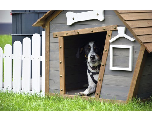 Chien dans niche à chien à côté d''une clôture blanche sur une pelouse