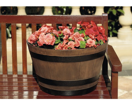 Blumenkübel in Fassoptik mit Begonien auf einer Bank