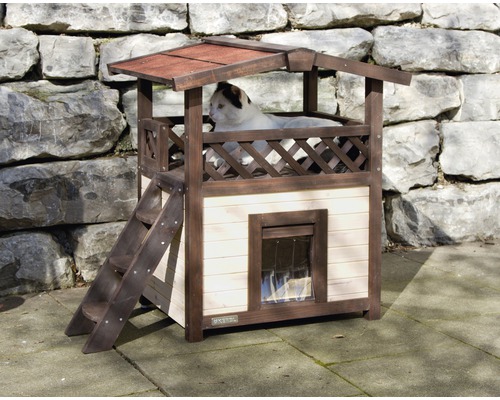 Maison pour chat à deux étages avec escalier et plateforme panoramique