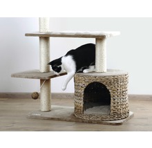 Katze auf einem Katzenbaum mit Kratzstamm, Liegeflächen und einem Katzenhaus aus Korbgeflecht
