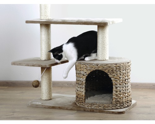 Chat sur un arbre à chat avec griffoir, plateformes et une maison pour chat en osier