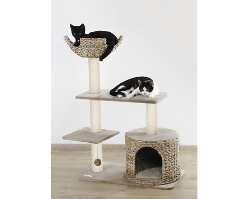 Arbre à chat à plusieurs niveaux avec deux chats
