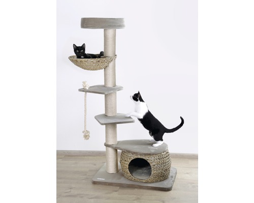 Arbre à chat avec deux chats