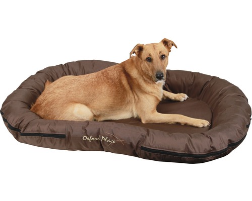 Chien couché dans un lit pour chien marron