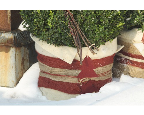 Pot de fleurs décoratif avec buisson à feuilles persistantes et décoration de Noël dans la neige