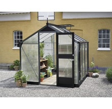 Serre JULIANA Compact 5,0 m² plaque alvéolaire double paroi 10 mm 224 x 224 cm anthracite/noir