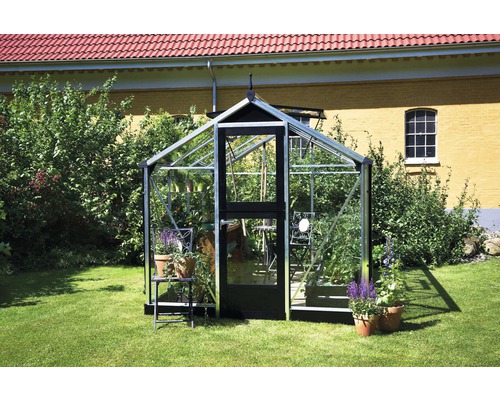 Gewächshaus im Garten mit Pflanzen und Blumentöpfen.